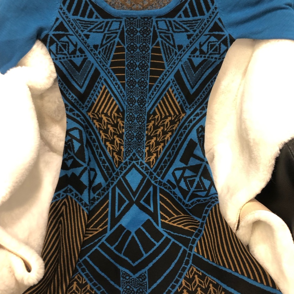 Form fitting shirt dress